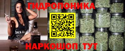 крисы Бузулук