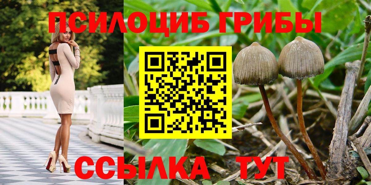 Псилоцибиновые грибы мицелий Алапаевск